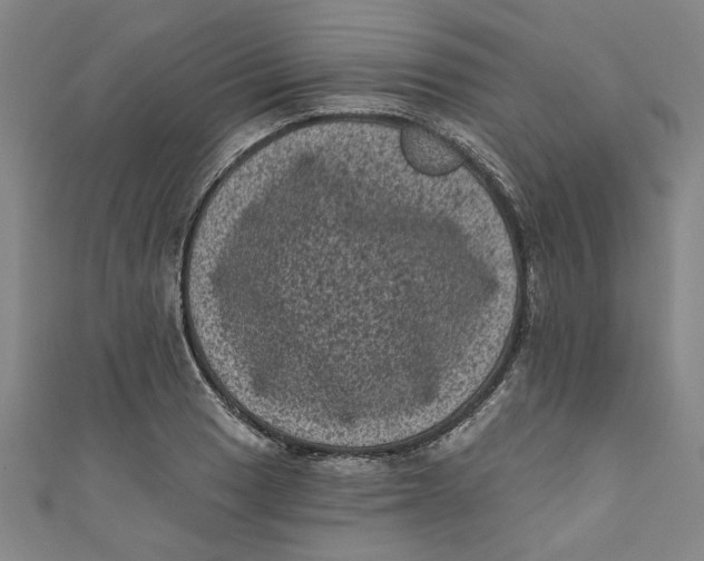 X0000110941033200907101243