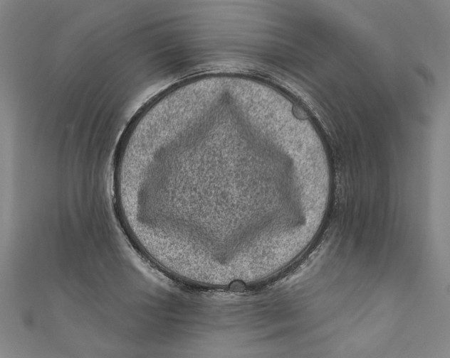 X0000110941034200907101243