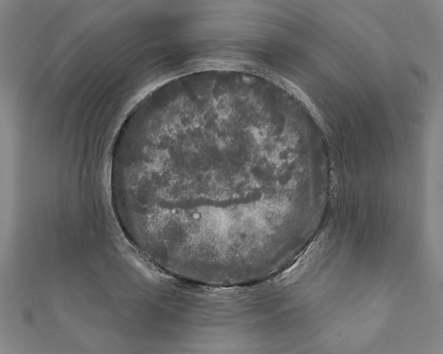 X0000110941035200907101243