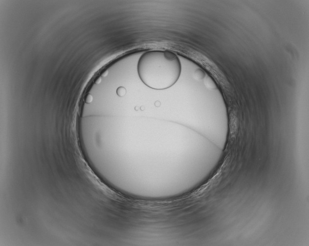 X0000110941036200907101243