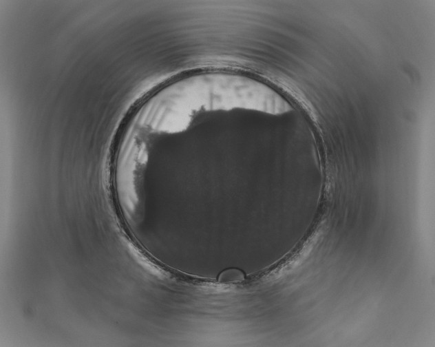 X0000110941037200907101243