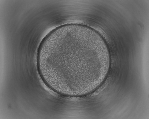 X0000110941038200907101243