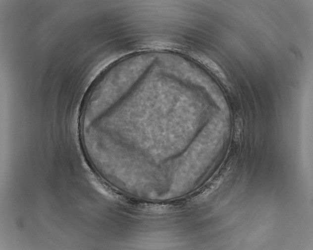 X0000110941039200907101243