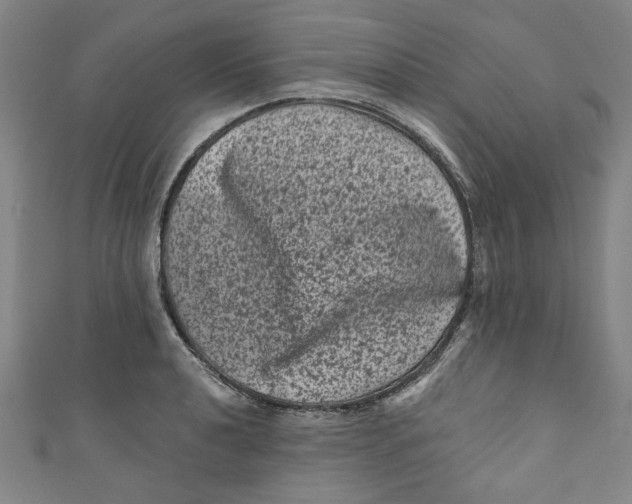 X0000110941040200907101243