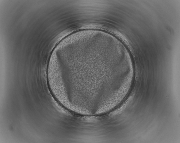 X0000110941041200907101243