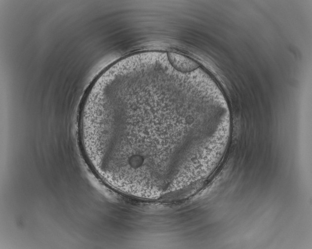 X0000110941042200907101243