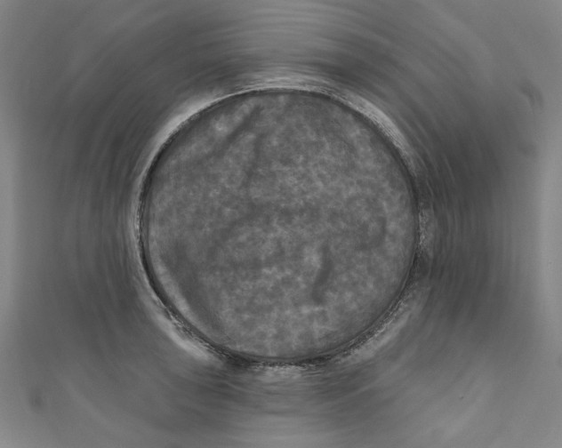 X0000110941043200907101243