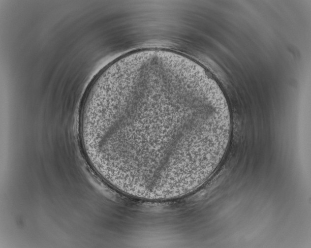 X0000110941044200907101243