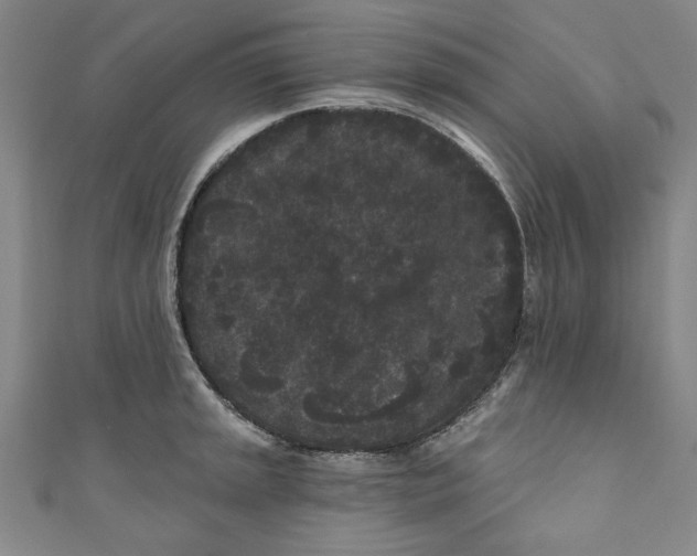 X0000110941045200907101243