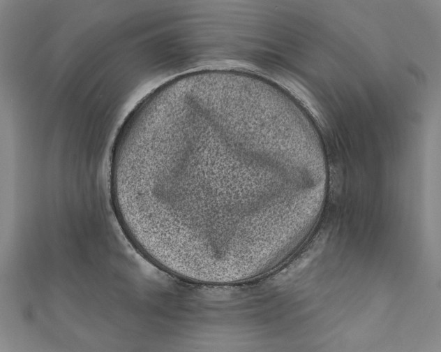 X0000110941046200907101243