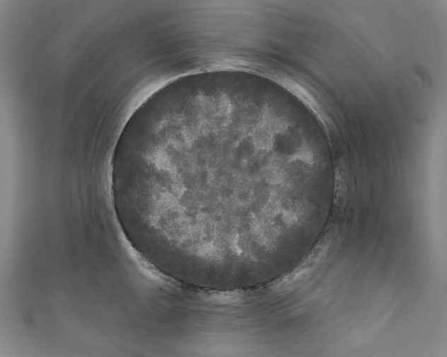 X0000110941047200907101243