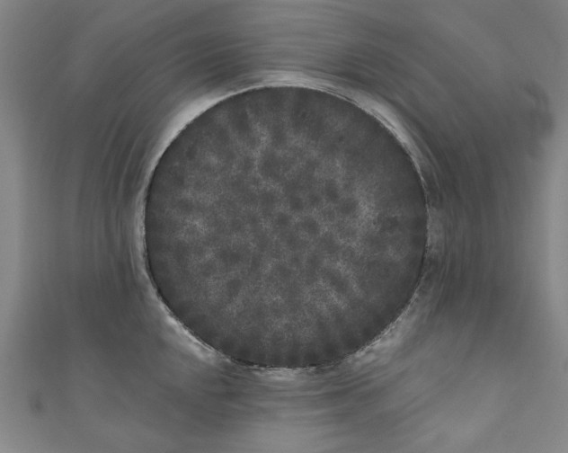 X0000110941048200907101243