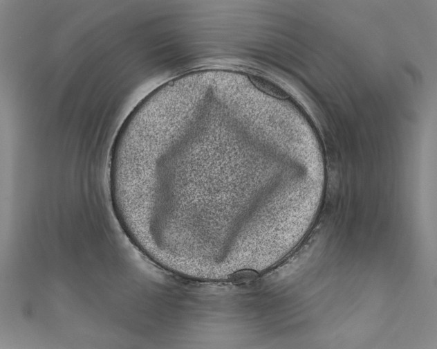 X0000110941050200907101243