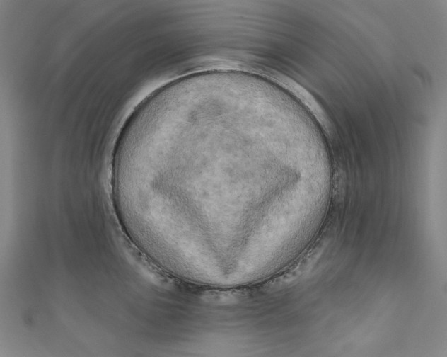 X0000110941051200907101243