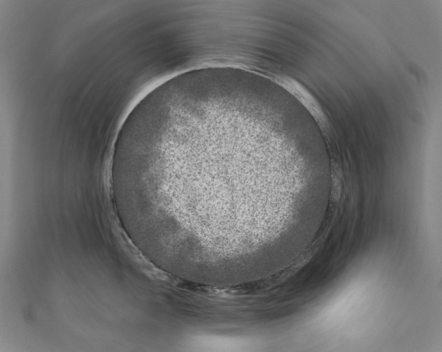 X0000110941052200907101243