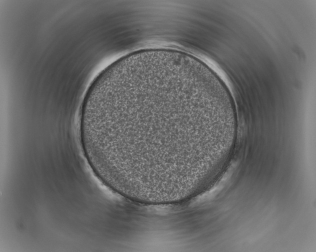 X0000110941053200907101243