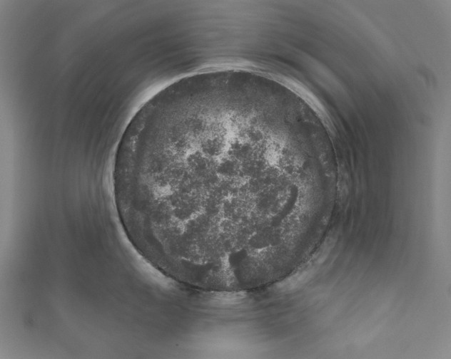 X0000110941055200907101243