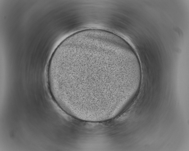 X0000110941056200907101243