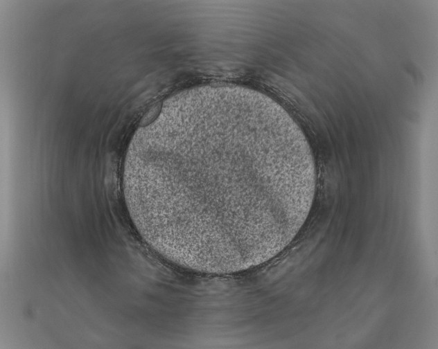 X0000110941058200907101242