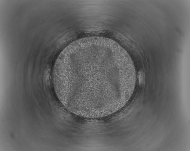 X0000110941059200907101242