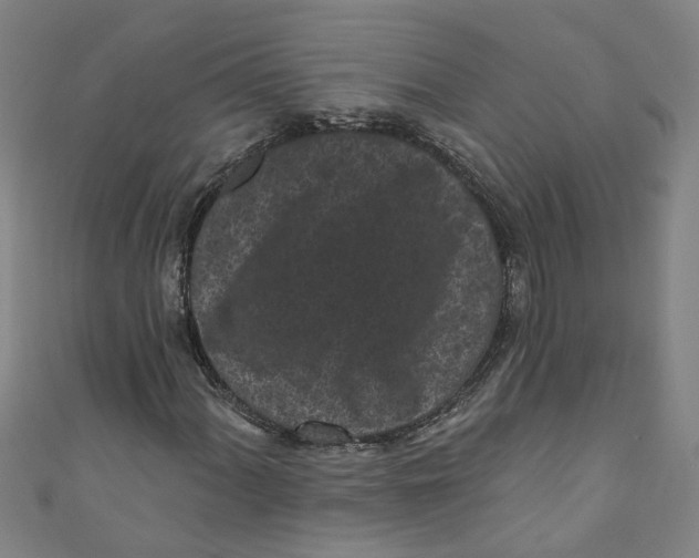 X0000110941060200907101242