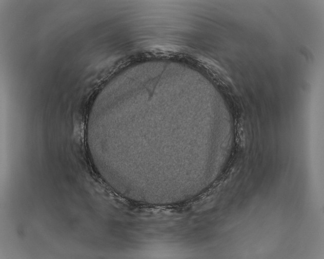 X0000110941061200907101242