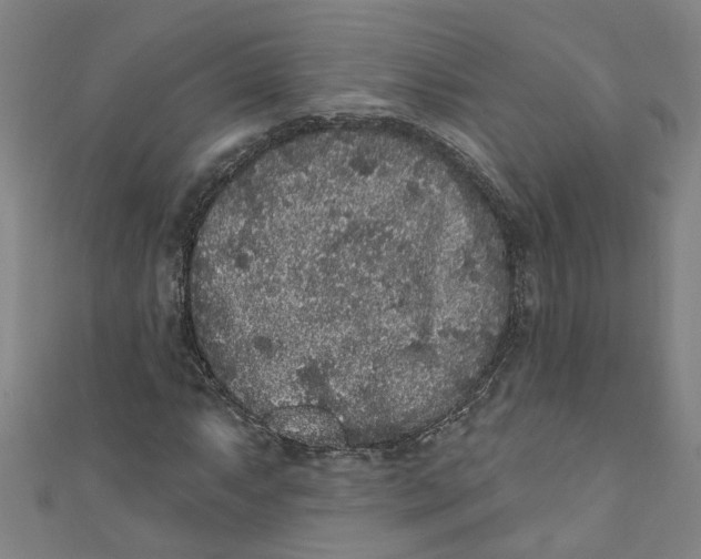 X0000110941063200907101242