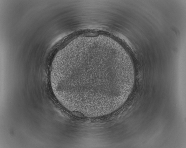 X0000110941064200907101242