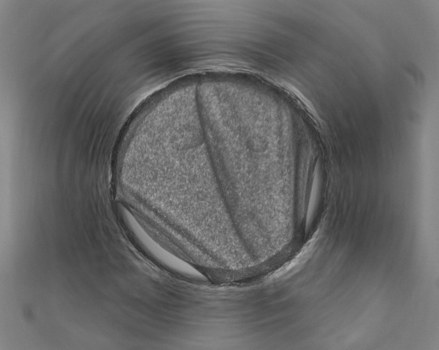 X0000110941065200907101242