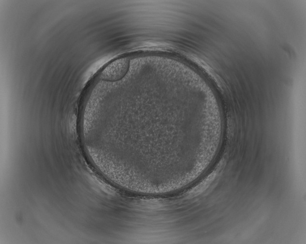 X0000110941066200907101242