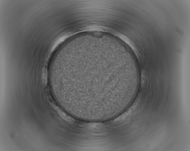 X0000110941067200907101242