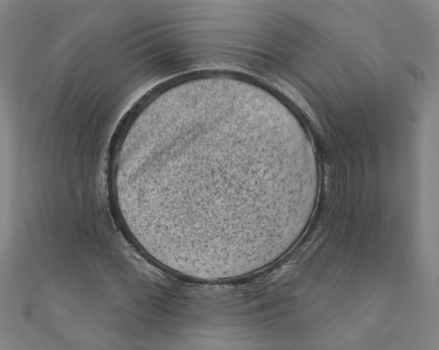 X0000110941068200907101242