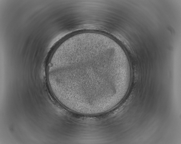 X0000110941070200907101242