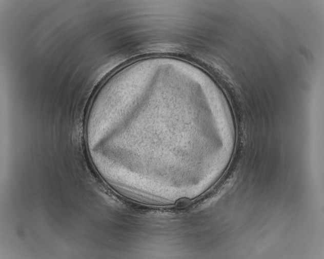 X0000110941073200907101242