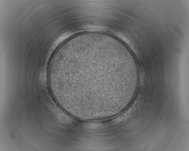 X0000110941074200907101242