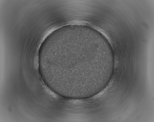 X0000110941075200907101242