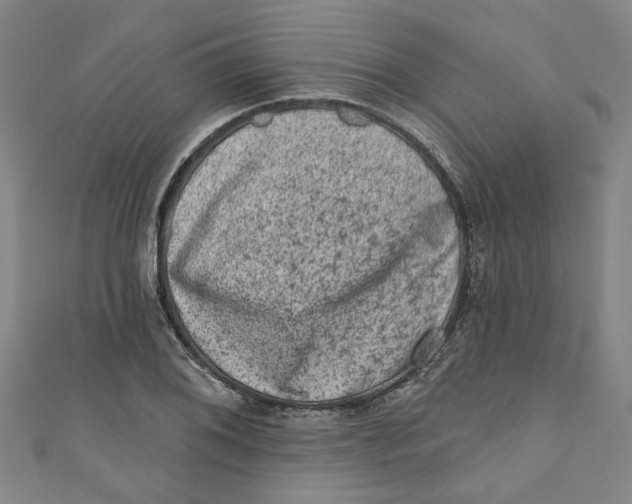 X0000110941076200907101242