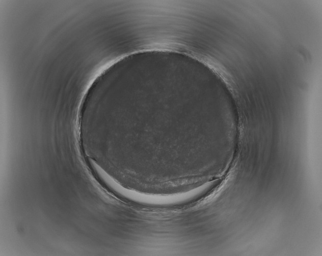 X0000110941077200907101242