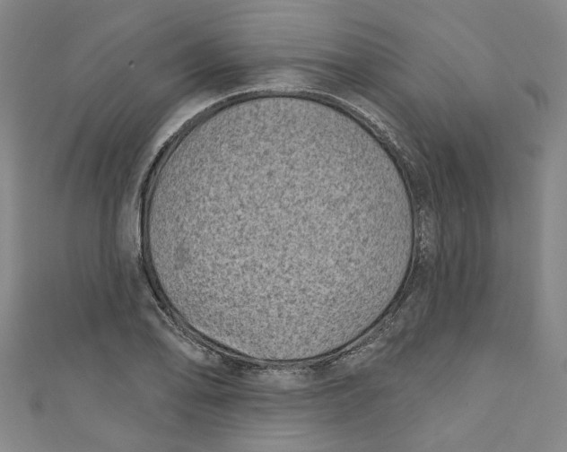 X0000110941078200907101242