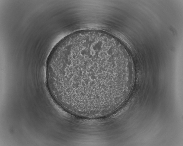 X0000110941079200907101242