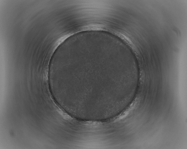 X0000110941081200907101242