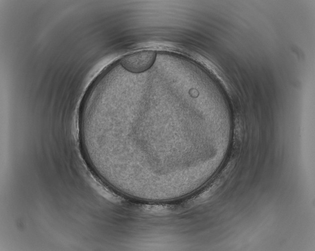 X0000110941082200907101242