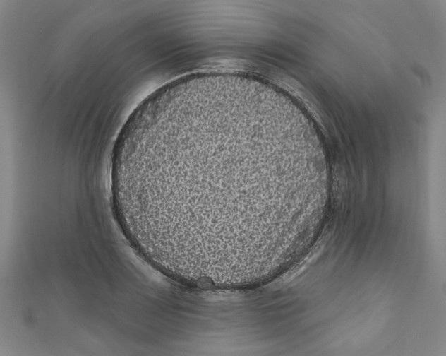 X0000110941083200907101242