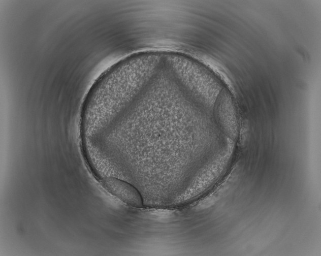 X0000110941085200907101242