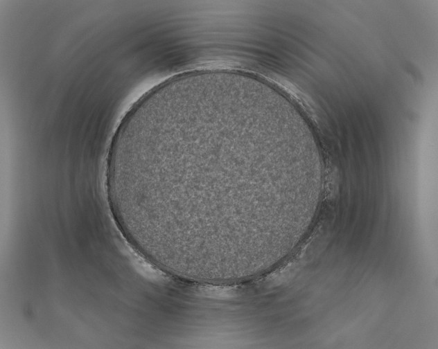 X0000110941086200907101242