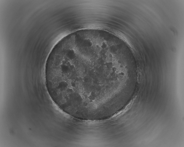 X0000110941087200907101242