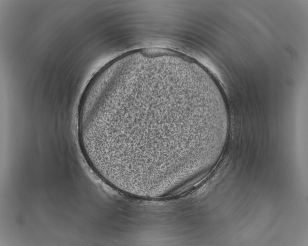 X0000110941088200907101242