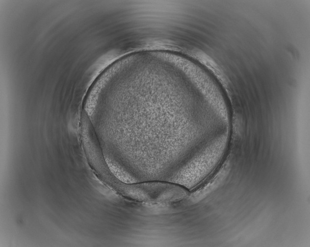 X0000110941089200907101242