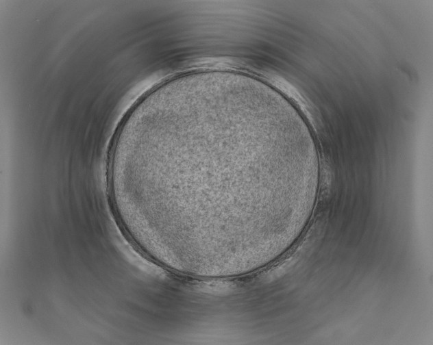 X0000110941090200907101242