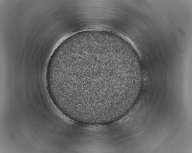 X0000110941091200907101242